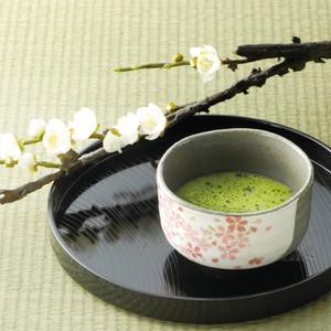 ■【抹茶碗】カネ仁白化粧ピンク桜小抹茶