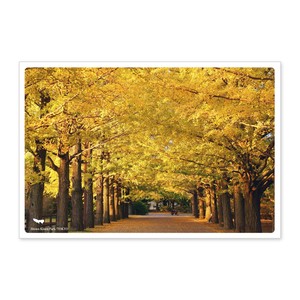 < 秋ポストカード >日本の絶景ポストカード JPC-27 国営昭和記念公園