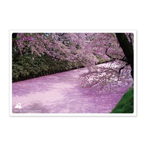 < 春ポストカード >日本の絶景ポストカード JPC-42 弘前公園の花筏
