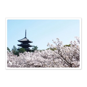 < 春ポストカード >日本の絶景ポストカード JPC-45 仁和寺