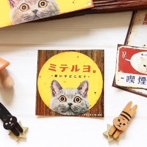 Stickers Sticker Cat