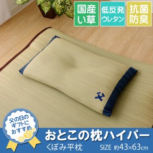 Pillow Anti-Odor