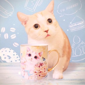 Mug kyou wa donna hi Cat