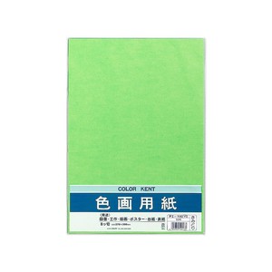 Notebook Yellowish-Green