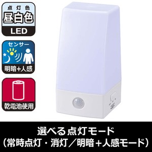 LEDセンサーライト（明暗＋人感センサー付/昼白色）2タイプ