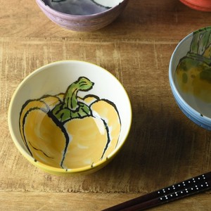 Mino ware Donburi Bowl Paprika M Made in Japan