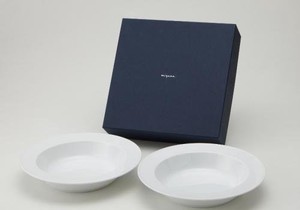 Mino ware Donburi Bowl Gift Set M Miyama Western Tableware Made in Japan