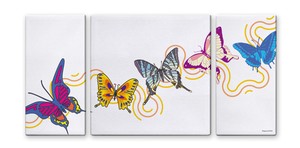 Art Frame butter canvas Butterfly