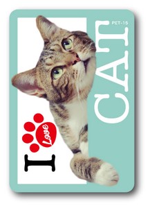 PET-15/I LOVE CAT!ステッカー15 猫好きの方に！ 猫 ねこ ネコ CAT 猫ステッカー PET 愛猫 ペット