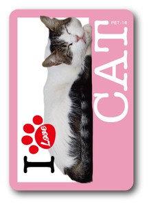 PET-16/I LOVE CAT!ステッカー16 猫好きの方に！ 猫 ねこ ネコ CAT 猫ステッカー PET 愛猫 ペット