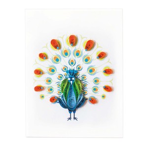 グリーティングカード Dancing Peacock gift enclosure　お祝い　ギフト