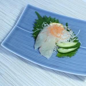 Hasami ware Main Plate Small