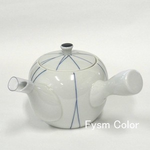 Hasami ware Japanese Teapot with Tea Strainer Tea Pot Made in Japan