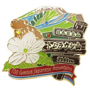 日本百名山 1段 ピンズ/トムラウシ山