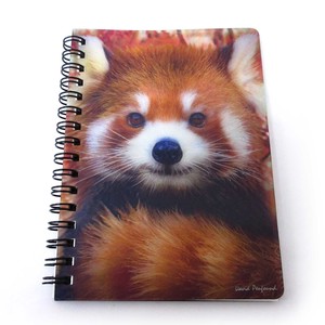 Notebook Red Panda Stationery