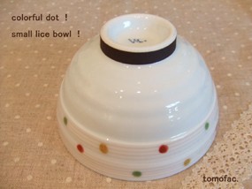 Hasami ware Rice Bowl Red Colorful Made in Japan