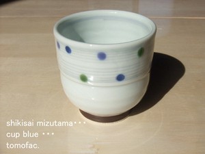 Hasami ware Japanese Teacup Colorful Made in Japan