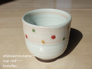 Hasami ware Japanese Teacup Red Colorful Made in Japan