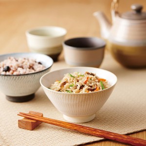 Mino ware Rice Bowl Series Natural