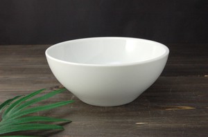 Mino ware Mixing Bowl M Western Tableware Made in Japan