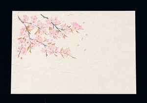 【ヤマコー】 尺3四季懐石まっと（50枚入）　桜