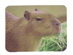 Mouse Pad Animals