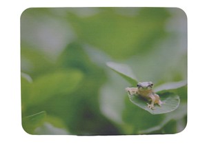 Mouse Pad Frog Animal