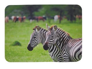 Mouse Pad Animals Zebra