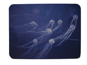 Mouse Pad Jellyfish Animals