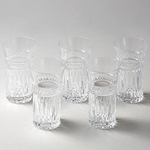 Beer Glass Water Set of 5