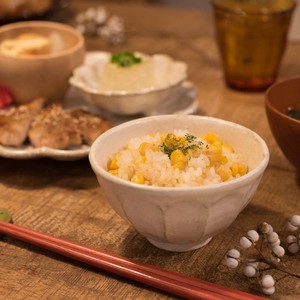 Mino ware Rinka Kohyo Rice Bowl M Western Tableware White Wedge Made in Japan