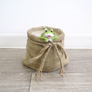Pot/Planter Frog