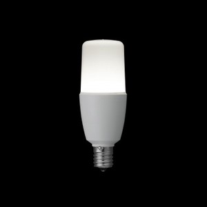 T形LED電球  40W形相当  E17  昼白色 全方向タイプ LDT5NGE17