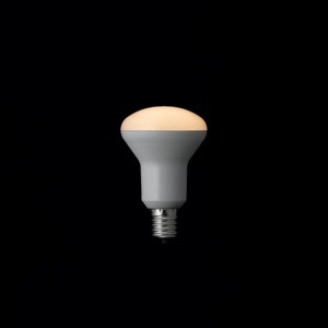 R50ミニレフ形LED電球 電球色 E17 非調光タイプ LDR4LHE17