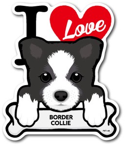 PET-046/BORDER COLLIE/ボーダー・コリー/DOG STICKER ドッグステッカー 車 犬 イラスト アイラブ