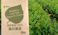 鳥取県産桑の葉茶（ティーバッグ）