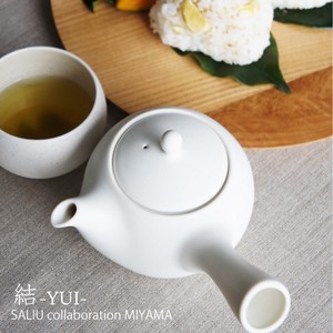 SALIU Japanese Teapot Porcelain YUI Tea Pot Made in Japan
