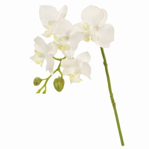 MAGIQ　蘭レイナファレノ　WHITE　造花