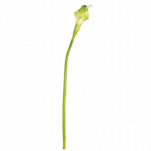 MAGIQ　ヴィンセントカラー　S＃24　GREEN　造花