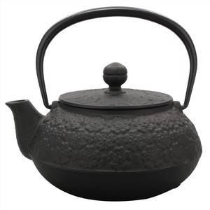 Nambu tekki Japanese Teapot Made in Japan