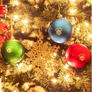 Ornament Christmas Ornaments