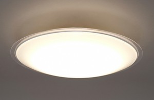 Ceiling Light Series Frame Clear
