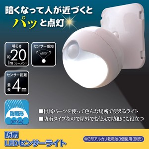 Disaster Preparation Product Light