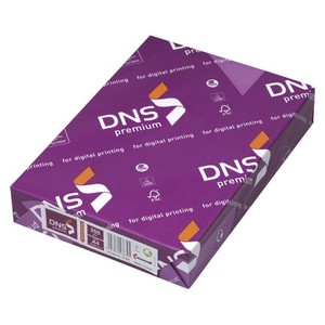 伊東屋 DNS premiumA4 250g/箱 DNS505