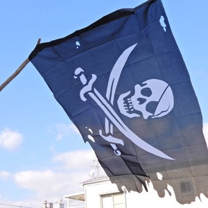 TOPANGA INTERIOR　Skull&Cross Bone Flag TypeD