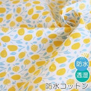Fabrics Design Honey 1m