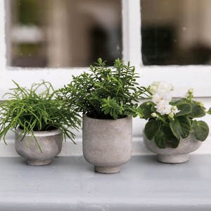 Mini flower pots 3個セット