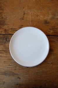 平皿（直径19cm）