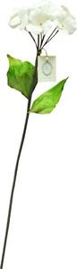 Sola Flower Stem ソラフラワーステム Hydrangea ハイドレンジア