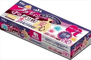 【販売終了】ハウスホールドジャパン　KB05 サニタリー消臭袋BOX 30枚 【 ポリ袋・レジ袋 】